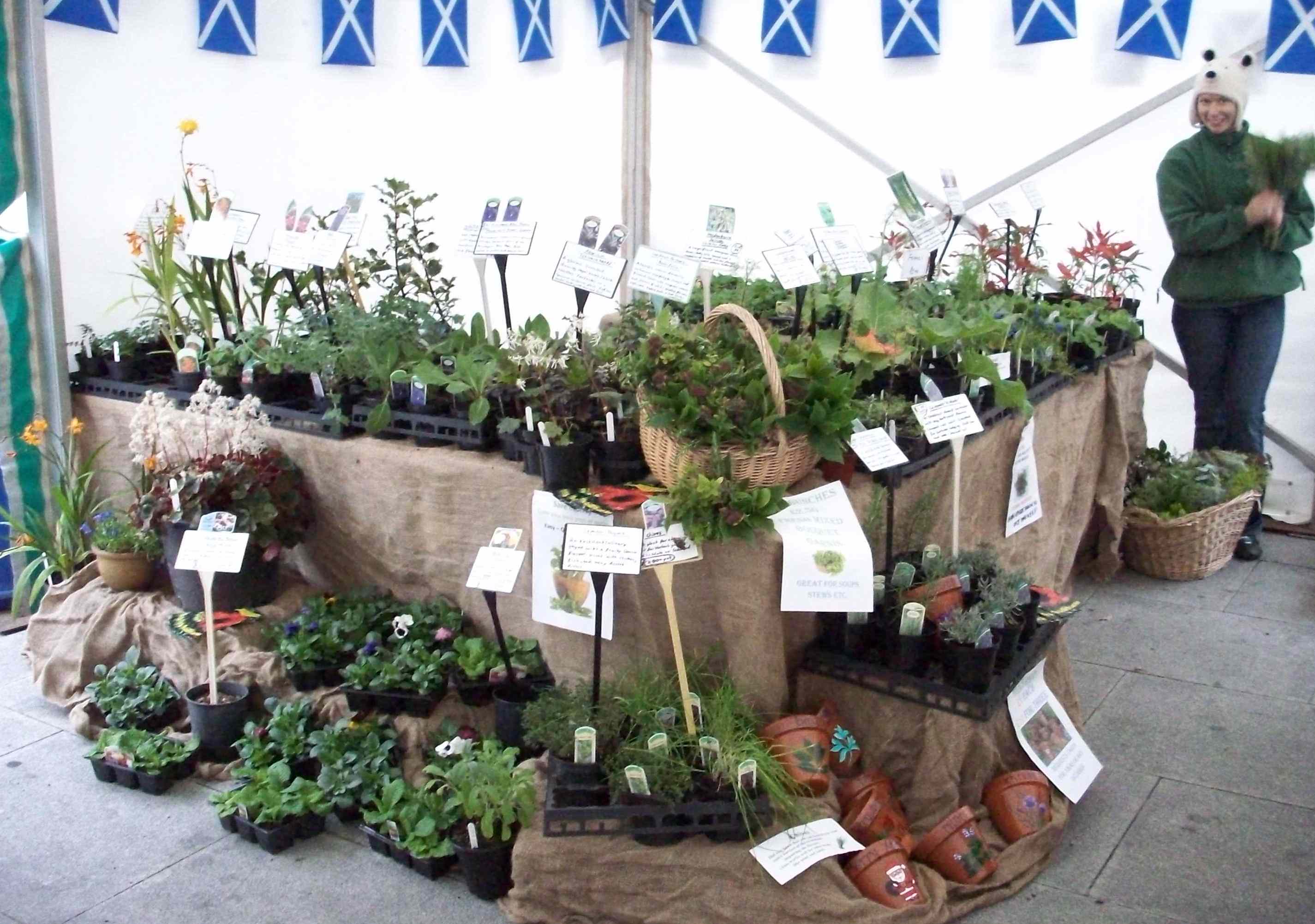inverness farmers market - Abriachan Nurseries